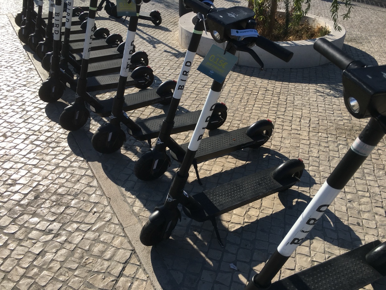 A rank of shared Bird e-scooters parked on a Lisbon pavement, unattended and with no riders.